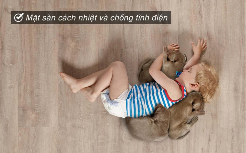 Mặt sàn nhựa chịu lực cách nhiệt và chống tĩnh điện