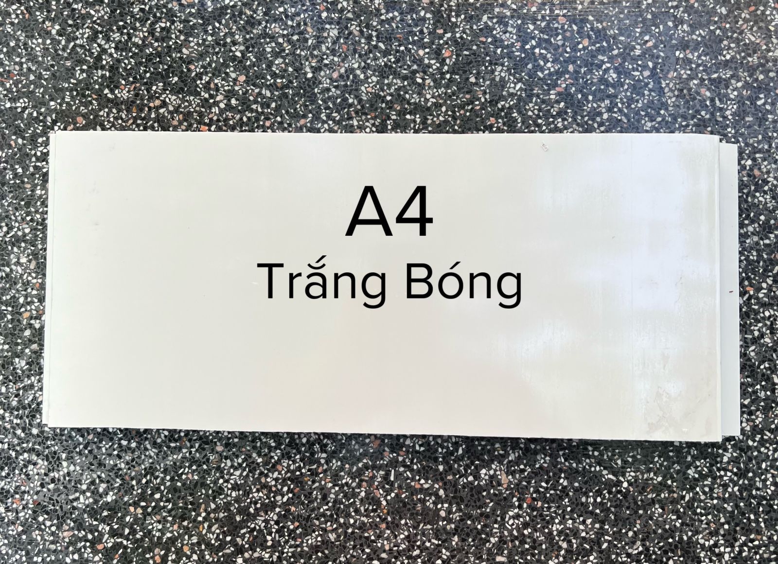 MÀU TRẮNG BÓNG