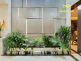 ấm Ốp Than Tre Đồng Tháp – Giải Pháp Ốp Tường, Ốp Trần Hiện Đại